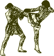 Муай Тай (Тайский бокс)